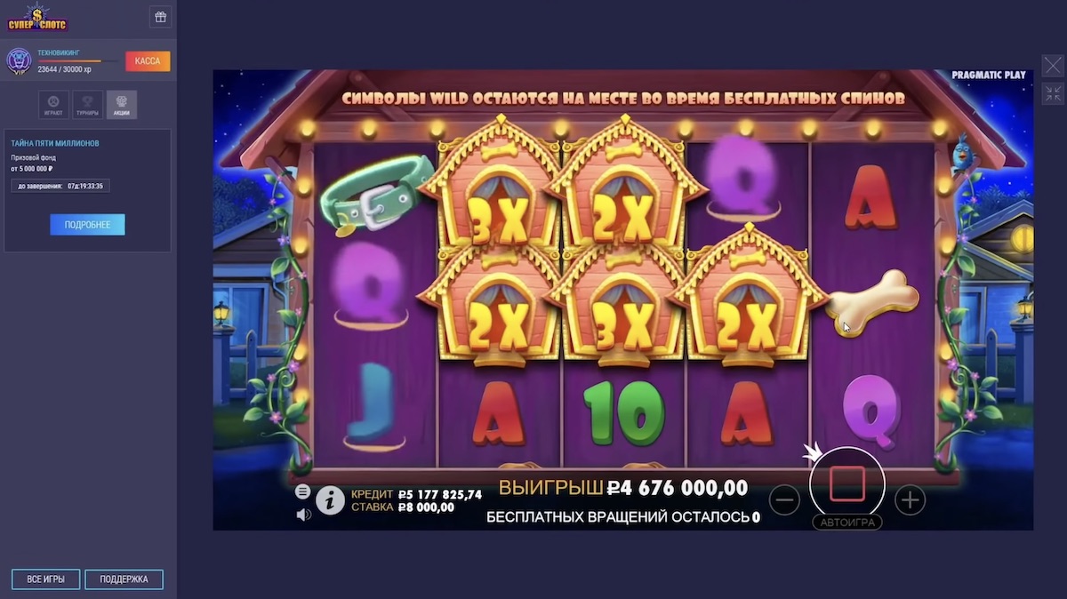 Казино стример Гарти